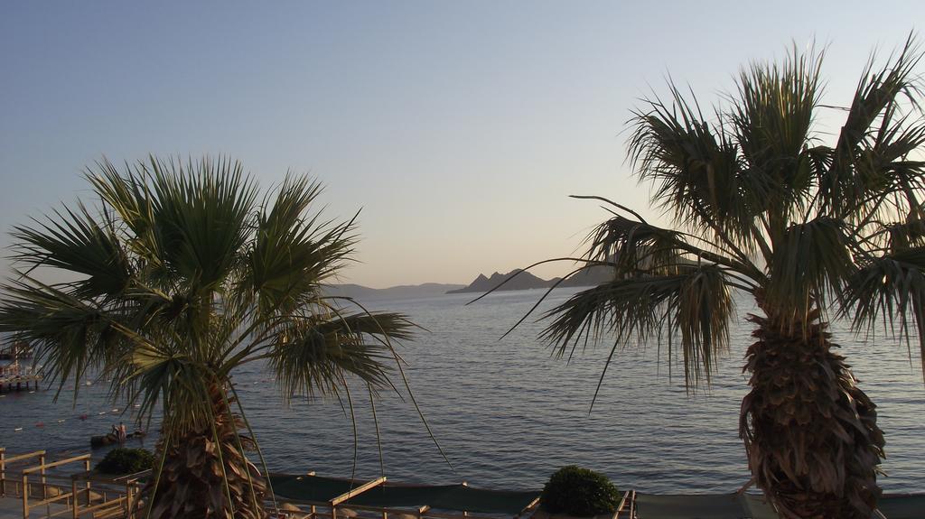 Ado Beach Hotel Turgutreis Exteriér fotografie